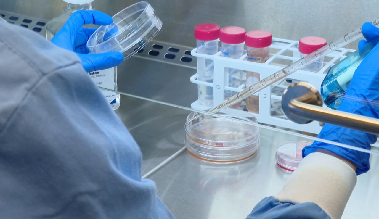 Investigadores