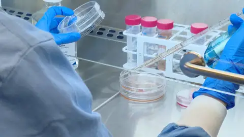 Investigadores Investigadores