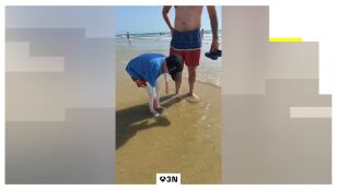 Los primeros contactos con el mar ya est&aacute;n mejorando algunas de sus heridas