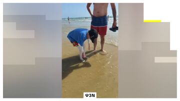Los primeros contactos con el mar ya est&aacute;n mejorando algunas de sus heridas