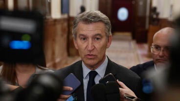 Imagen del l&iacute;der del PP, Alberto N&uacute;&ntilde;ez Feij&oacute;o 
