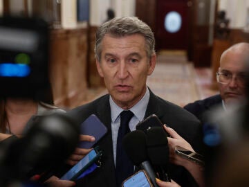 Imagen del l&iacute;der del PP, Alberto N&uacute;&ntilde;ez Feij&oacute;o 