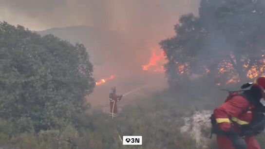 Controlado el incendio forestal de Tiana