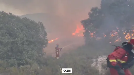 Controlado el incendio forestal de Tiana Controlado el incendio forestal de Tiana
