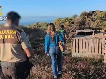 Detenido en Tenerife por maltratar a medio centenar de perros de caza 