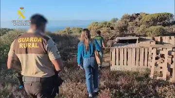 Detenido en Tenerife por maltratar a medio centenar de perros de caza Detenido en Tenerife por maltratar a medio centenar de perros de caza