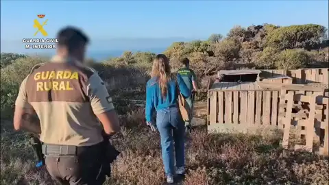 Detenido en Tenerife por maltratar a medio centenar de perros de caza Detenido en Tenerife por maltratar a medio centenar de perros de caza