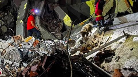 Bomberos trabajando en la b&uacute;squeda de supervivientes