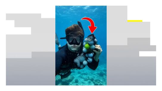 Un hallazgo muy poco habitual y peligroso en el fondo del mar
