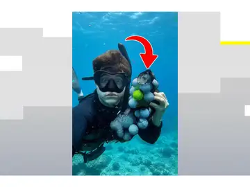 Un hallazgo muy poco habitual y peligroso en el fondo del mar Un hallazgo muy poco habitual y peligroso en el fondo del mar