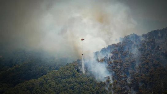 Bombers frena el flanco derecho del incendio de Sentmenat (Barcelona) aunque sigue "activo" Bombers frena el flanco derecho del incendio de Sentmenat (Barcelona) aunque sigue "activo"