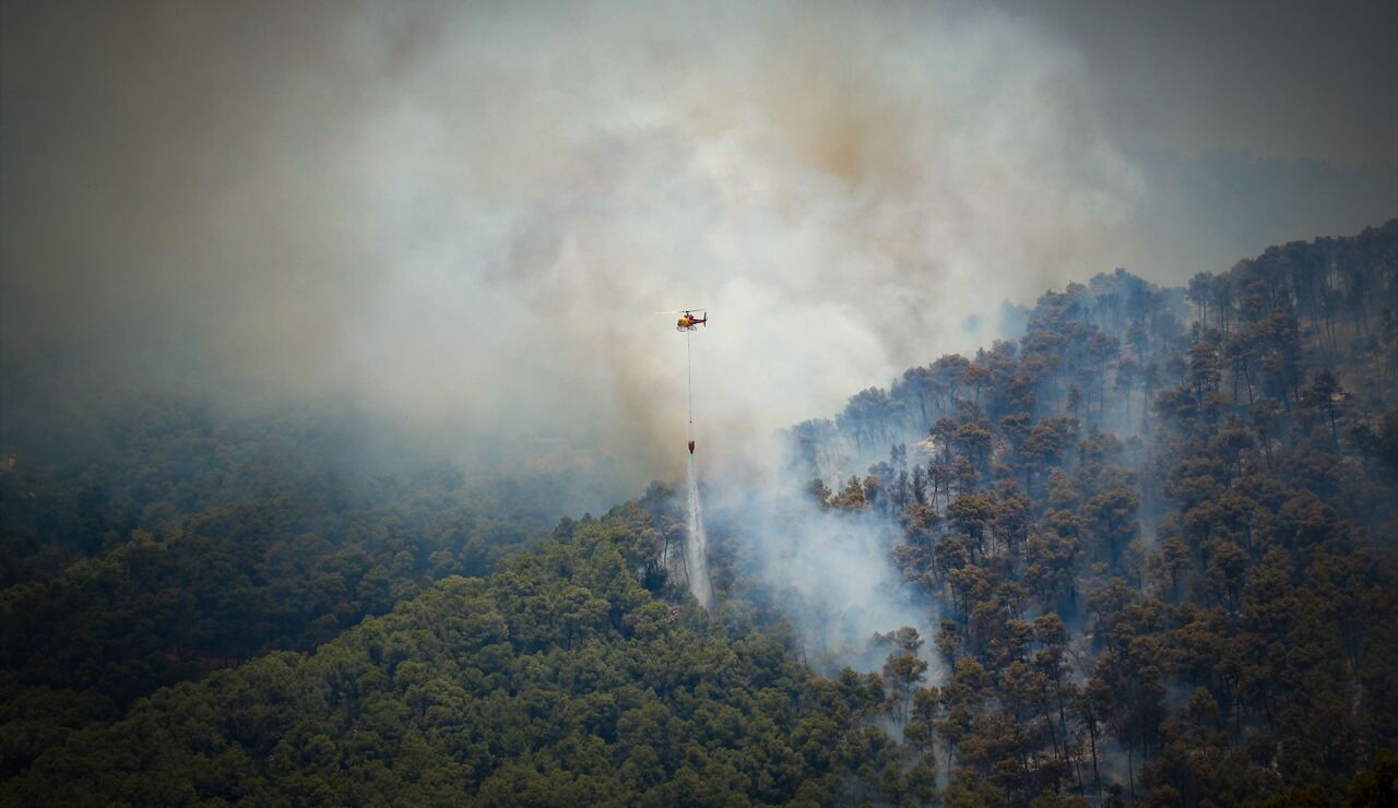 Els Bombers trabajan en los incendios de Catalu&ntilde;a.