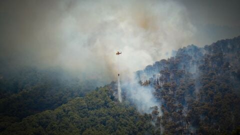 Els Bombers trabajan en los incendios de Catalu&ntilde;a.