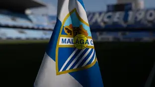 Estadio La Rosaleda en Málaga Estadio La Rosaleda en Málaga