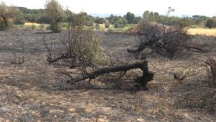 Incendio Huesca