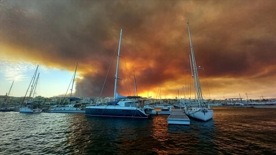 La Junta de Andalucía apunta a que un tendido eléctrico podría ser la causa del incendio en Los Gallardos La Junta de Andalucía apunta a que un tendido eléctrico podría ser la causa del incendio en Los Gallardos