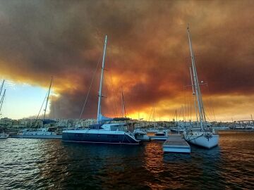 La Junta de Andaluc&iacute;a apunta a que un tendido el&eacute;ctrico podr&iacute;a ser la causa del incendio en Los Gallardos 