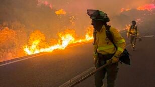 Incendio en Los Gallardos (Almer&iacute;a).