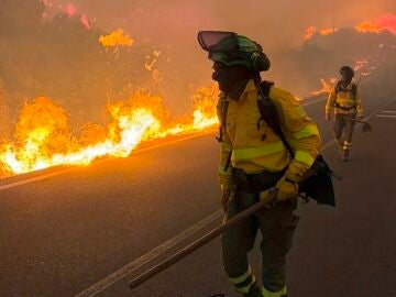 Incendio en Los Gallardos (Almer&iacute;a).
