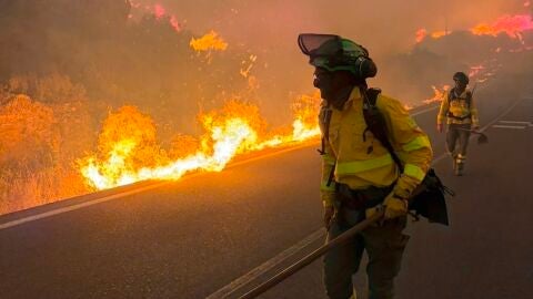 Incendio en Los Gallardos (Almer&iacute;a).