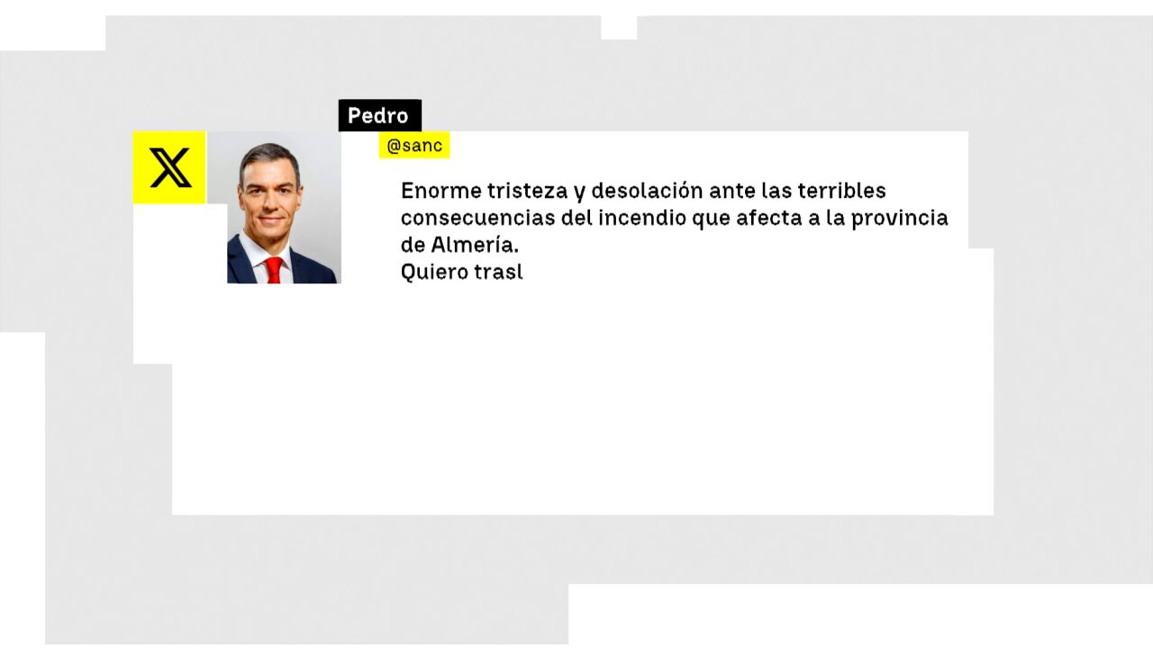 Mensaje de Pedro S&aacute;nchez