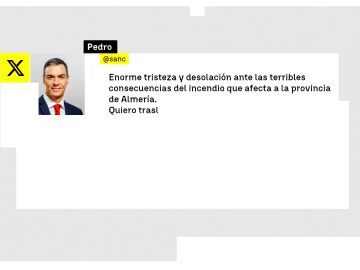 Mensaje de Pedro S&aacute;nchez