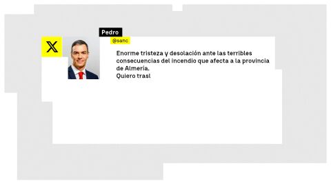 Mensaje de Pedro S&aacute;nchez