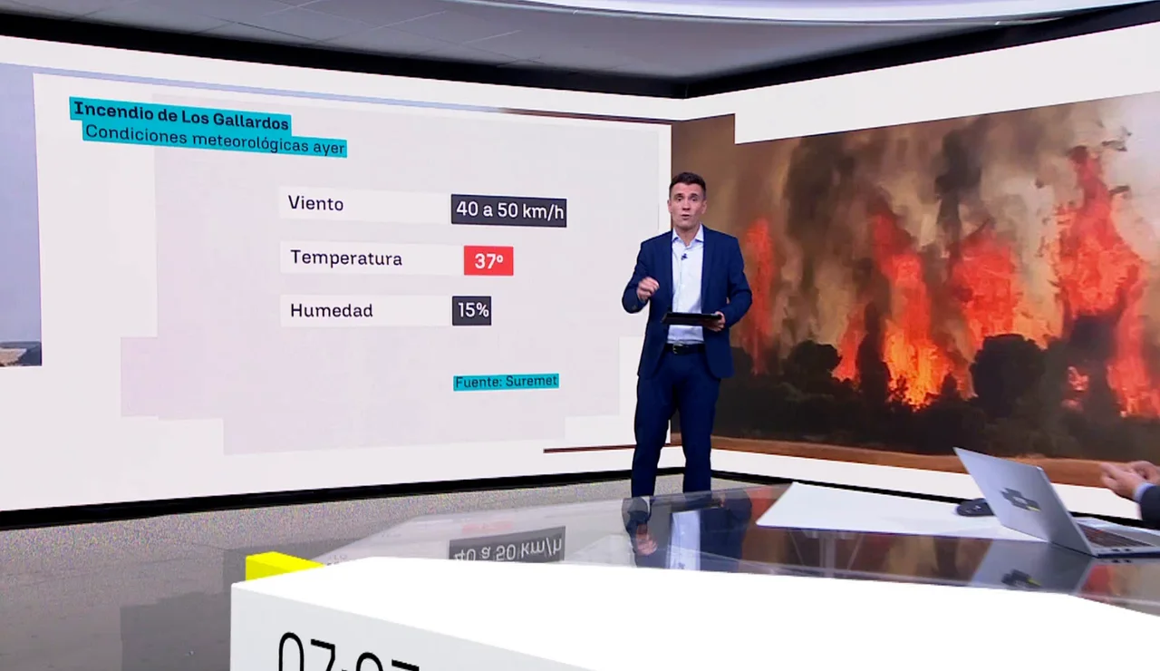 César González explica la 'regla de los 30' por la que se ha originado el incendio en Los Gallardos