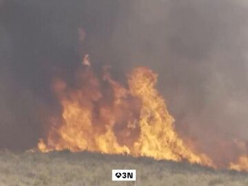 Un vecino del incendio de Los Gallardos: "Eso era una llama de ocho metros"