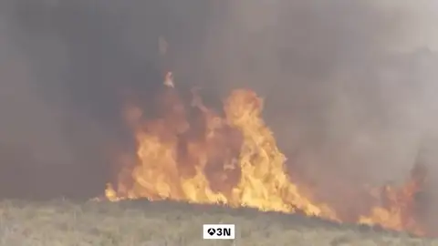 Un vecino del incendio de Los Gallardos: "Eso era una llama de ocho metros" Un vecino del incendio de Los Gallardos: "Eso era una llama de ocho metros"