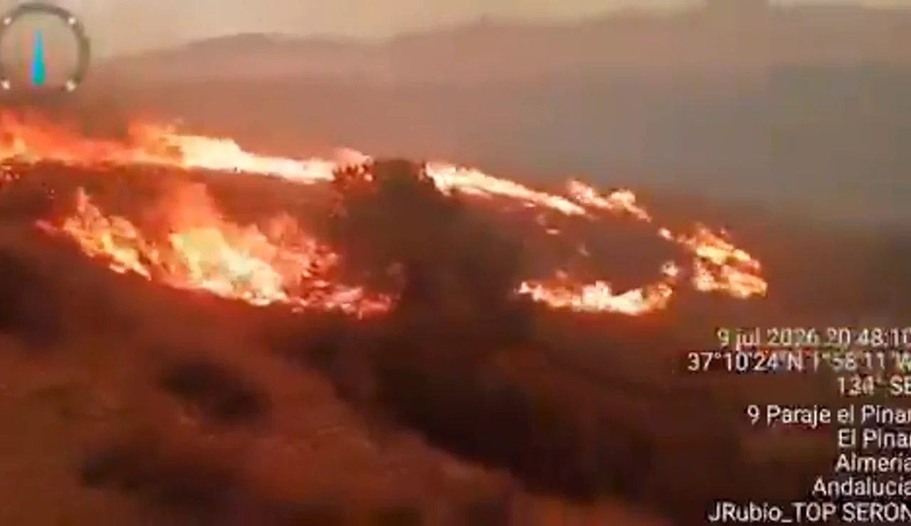Incendio de Los Gallardos