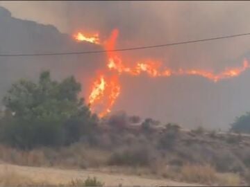 Incendio de Los Gallardos