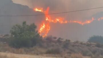 Incendio de Los Gallardos