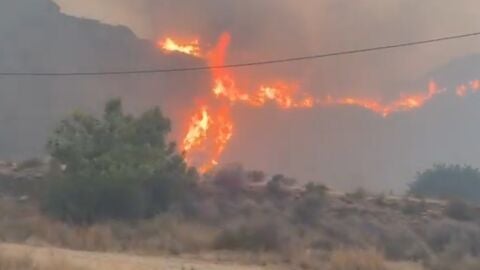 Incendio de Los Gallardos