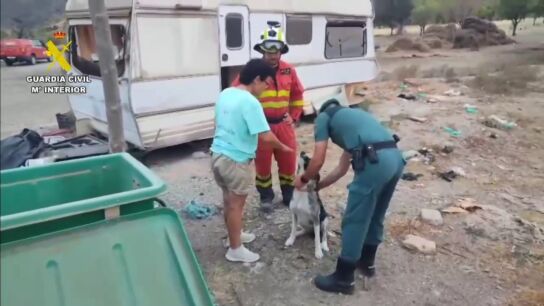 Trabajo de las protectoras en el incendio de Los Gallardos