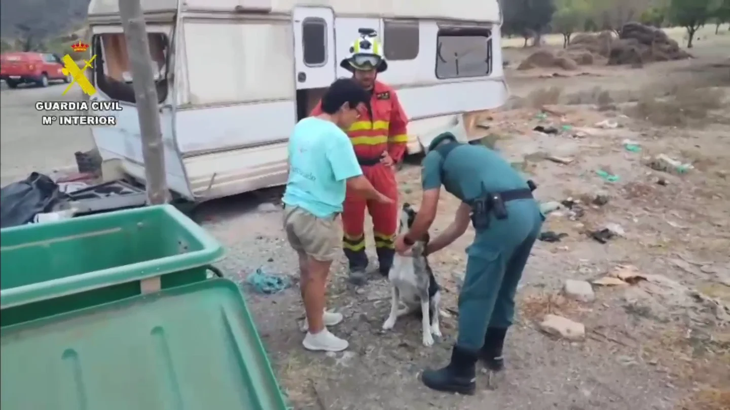 Trabajo de las protectoras en el incendio de Los Gallardos Trabajo de las protectoras en el incendio de Los Gallardos