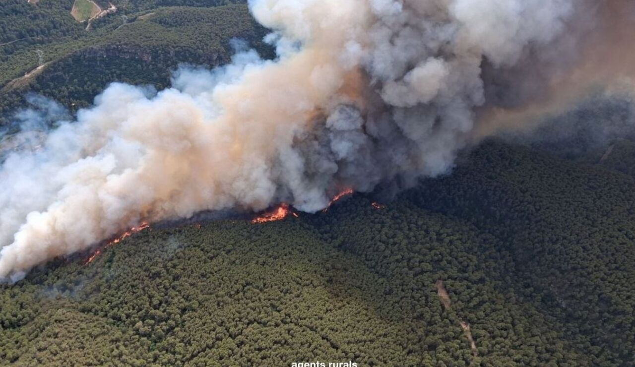 Imagen del incendio de Aiguam&uacute;rcia