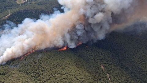 Imagen del incendio de Aiguam&uacute;rcia