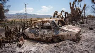 Imágenes de la zona afectada por el fuego en Los Gallardos Imágenes de la zona afectada por el fuego en Los Gallardos