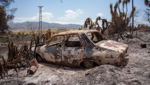 Im&aacute;genes de la zona afectada por el fuego en Los Gallardos