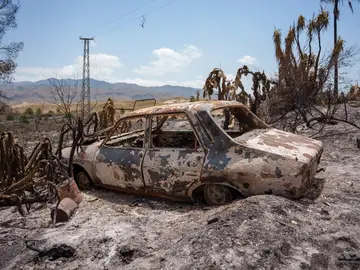Imágenes de la zona afectada por el fuego en Los Gallardos Imágenes de la zona afectada por el fuego en Los Gallardos