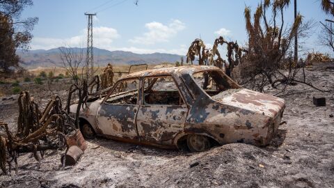 Im&aacute;genes de la zona afectada por el fuego en Los Gallardos