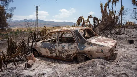 Imágenes de la zona afectada por el fuego en Los Gallardos Imágenes de la zona afectada por el fuego en Los Gallardos