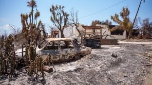 Zona afectada por el incendio de Los Gallardos.