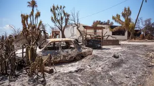 Zona afectada por el incendio de Los Gallardos. Zona afectada por el incendio de Los Gallardos.
