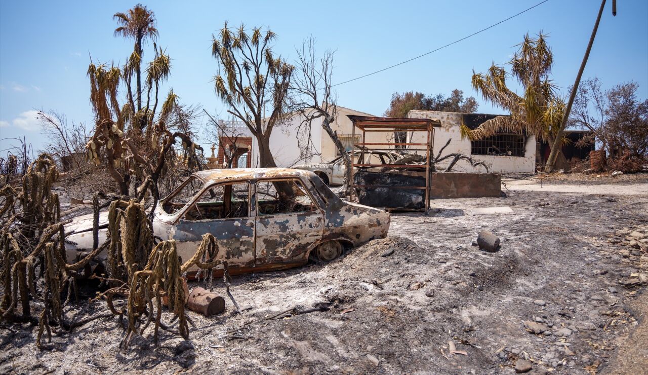 Zona afectada por el incendio de Los Gallardos.