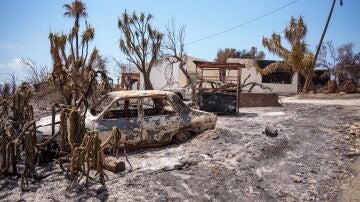 Zona afectada por el incendio de Los Gallardos.