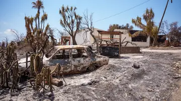 Zona afectada por el incendio de Los Gallardos. Zona afectada por el incendio de Los Gallardos.