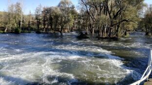 Tramo del r&iacute;o Ter