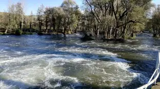 Tramo del río Ter Tramo del río Ter